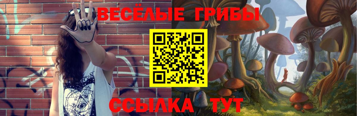 Ишимбай  Галлюциногенные грибы Psilocybine cubensis  Вход с VPN 